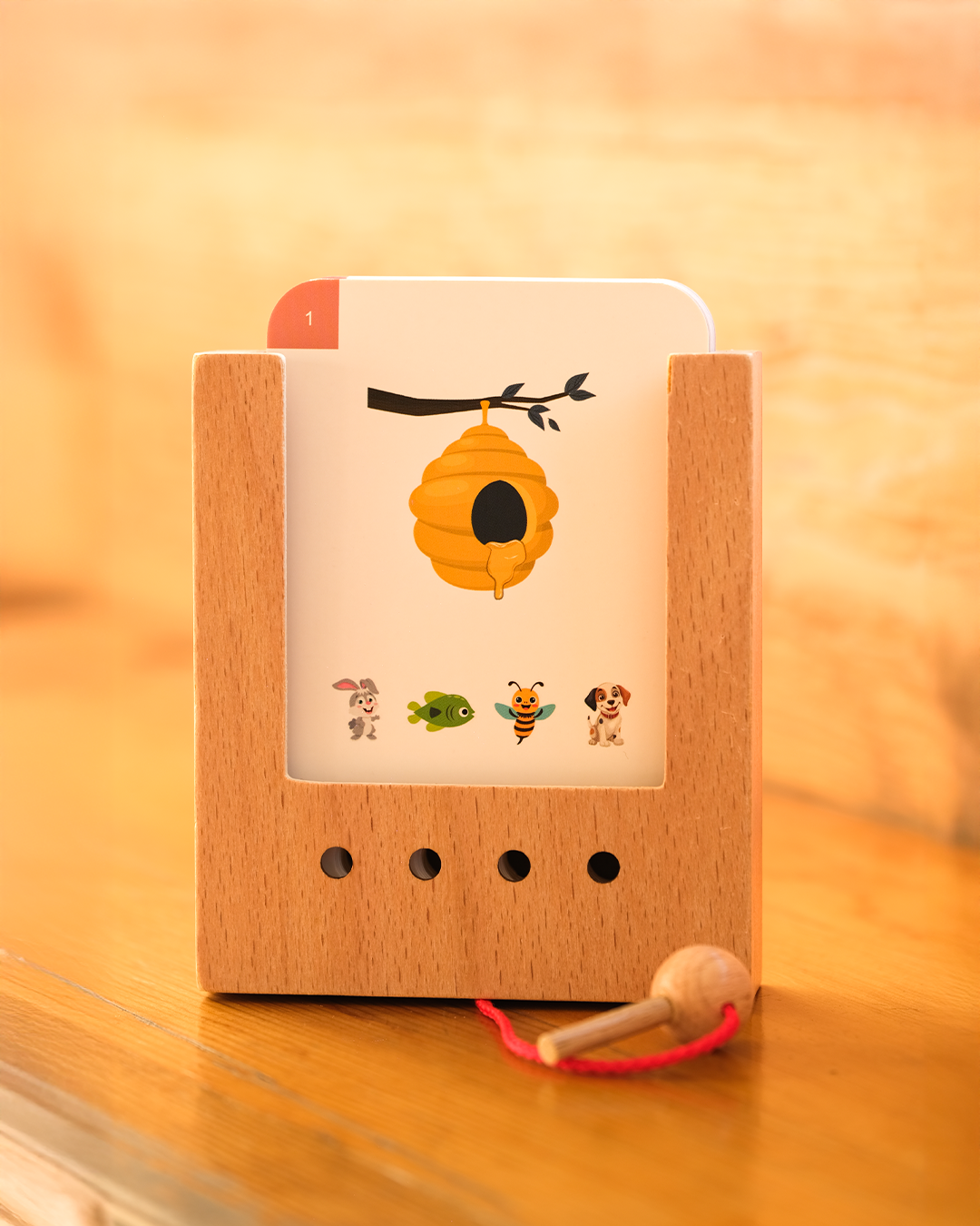 Başlangıç Seti - Hayvanlar ve Yaşam Alanları