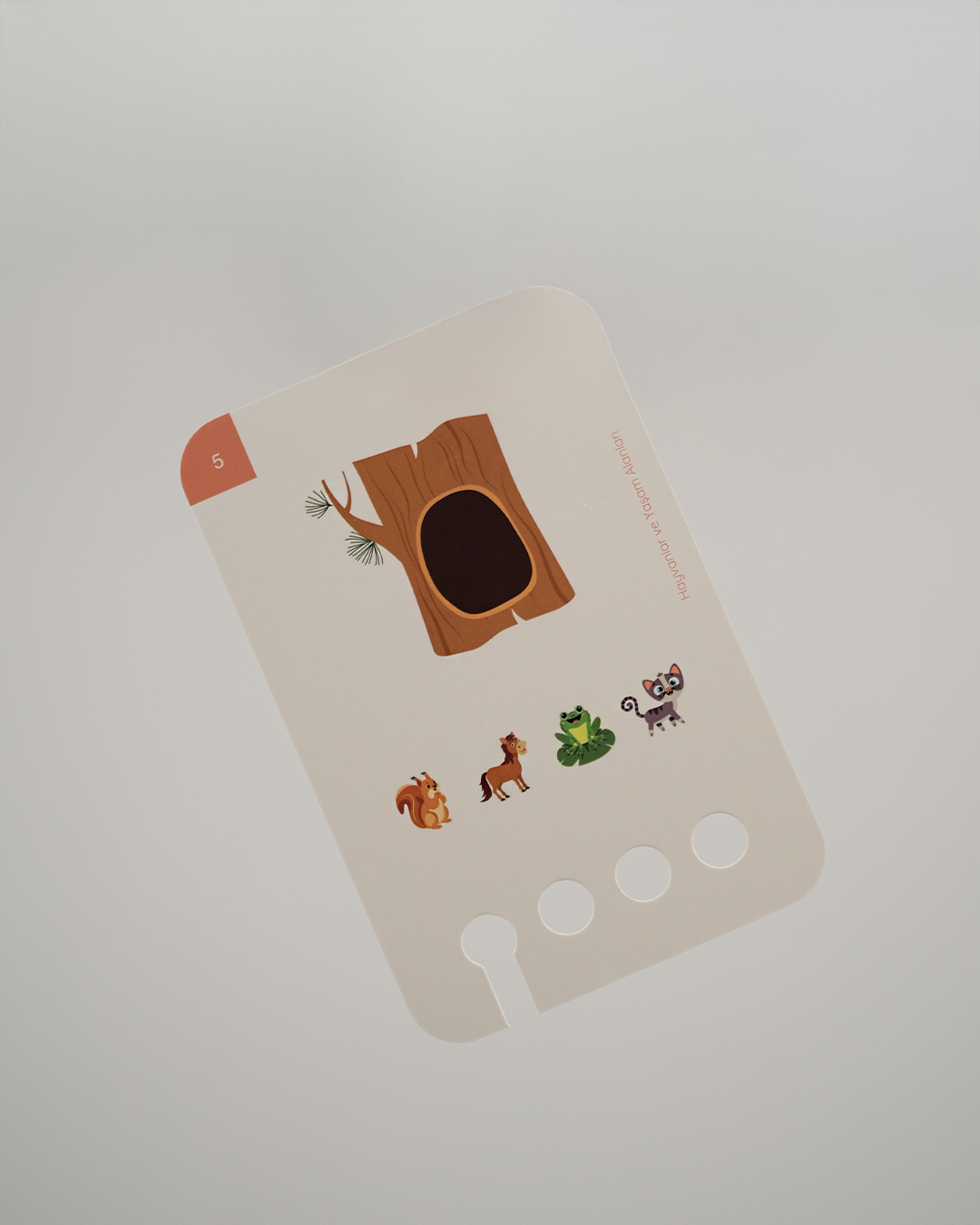 Başlangıç Seti - Hayvanlar ve Yaşam Alanları