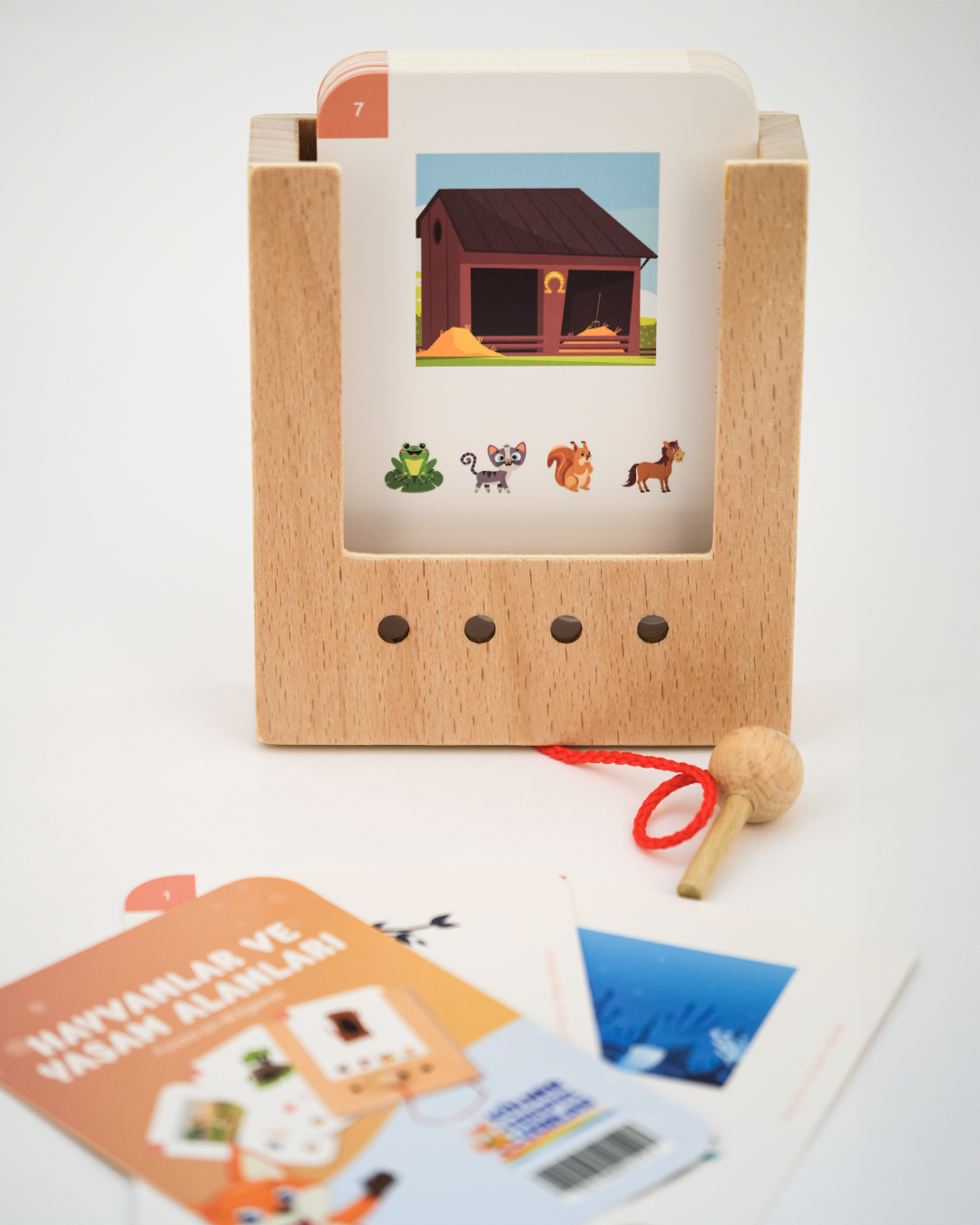 Başlangıç Seti - Hayvanlar ve Yaşam Alanları